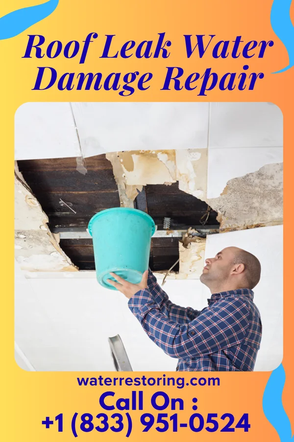 Roof Leak Water Damage Repair in Alger, WA